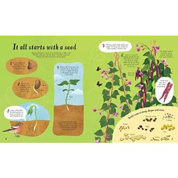 It all starts with a seed... How food grows