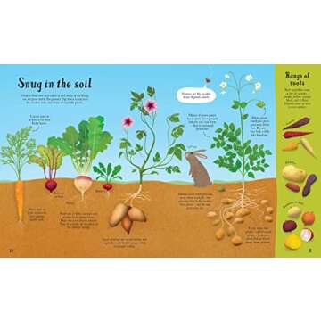 It all starts with a seed... How food grows