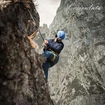 Double Braid Polyester Rope Orange(1/2 in x 50 ft) Arborist Rigging Nylon Pulling Rope - 48 Strand Polyester Braided Rope Bull Rope for Outdoor, Climbing, Swing, Sailing