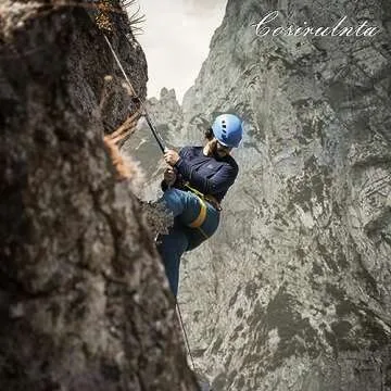 Double Braid Polyester Rope Orange(1/2 in x 50 ft) Arborist Rigging Nylon Pulling Rope - 48 Strand Polyester Braided Rope Bull Rope for Outdoor, Climbing, Swing, Sailing