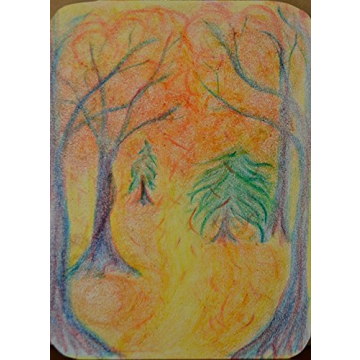 Filana Organic Beeswax Block Crayons 12-Pack for Kids