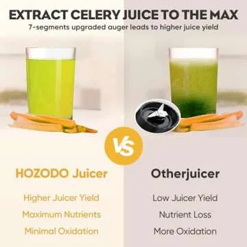 Masticating Juicer Attachment for KitchenAid Stand Mixer, Masticating Juicer, Slow Juicer Attachment for KitchenAid All Models Stand Mixers for Vegestables and Fruits By Hozodo