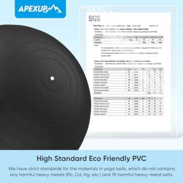 APEXUP Yoga Ball - Anti-Slip Stability Exercise Mat