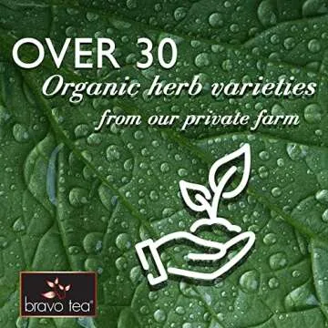 Bravo Tea Absolute Schisandra Berry Herbal Tea Caffeine Free, 20 Tea Bags