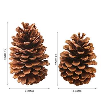 Yexpress 12 Pack Large Natural Pinecones, 3.5" to 4.7" Christmas Rustic Natural Pine Cones Fall Orna...