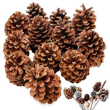 Yexpress 12 Pack Large Natural Pinecones, 3.5" to 4.7" Christmas Rustic Natural Pine Cones Fall Ornaments for DIY Crafts, Home Decorations, Fall and Christmas, Wedding Decor