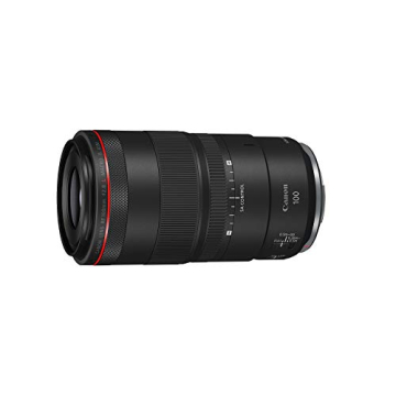 Canon RF 100mm F2.8 L IS USM Macro Lens for R Series
