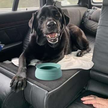 SLSON Spill Proof Dog Bowl for Mess-Free Travel