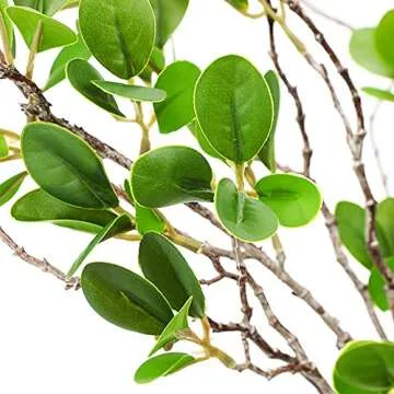 Buy BohoSM Artificial Greenery Stems - Elegant Faux Ficus