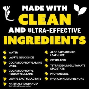 Molly's Suds Liquid Dish Soap | Clean, Simple Ingredients | Extra Scrubbing Power | Lavender Scent, 24 oz - 2 Pack