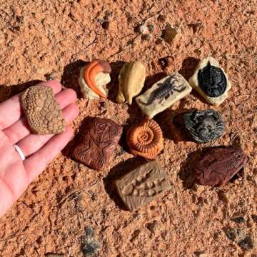 Safari Ltd. Ancient Fossils TOOB - Figurines: Dino Footprint, Giant Crab, Ammonite, Raptor Claw, T-R...