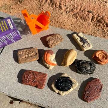 Safari Ltd. Ancient Fossils TOOB - Figurines: Dino Footprint, Giant Crab, Ammonite, Raptor Claw, T-Rex Tooth, Frog Skeleton, Sea Scorpion & More - Educational Toys for Boys, Girls & Kids Ages 3+