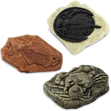 Safari Ltd. Ancient Fossils TOOB - Figurines: Dino Footprint, Giant Crab, Ammonite, Raptor Claw, T-Rex Tooth, Frog Skeleton, Sea Scorpion & More - Educational Toys for Boys, Girls & Kids Ages 3+
