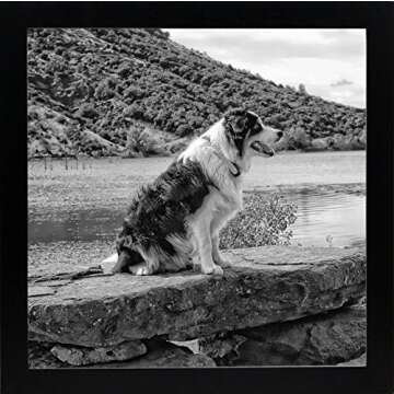 Elegant 12x12 Black Wood Gallery Picture Frame for Photos