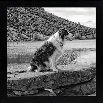 Elegant 12x12 Black Wood Gallery Picture Frame for Photos