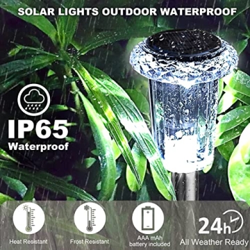 Brighten Your Yard with LIANGLOME Solar Pathway Lights