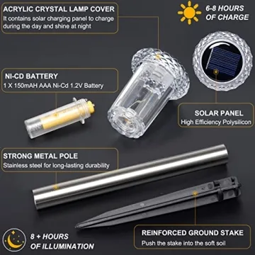 Brighten Your Yard with LIANGLOME Solar Pathway Lights