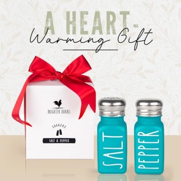 Brighter Barns Teal Salt and Pepper Shakers Set for Home