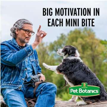 Pet Botanics Training Rewards Treats, Beef, 20 Ounces