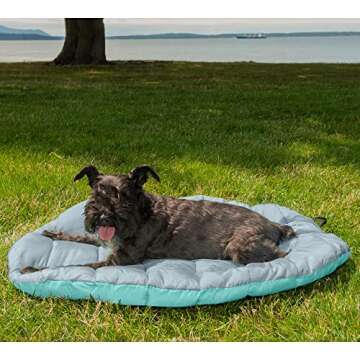 Furhaven Outdoor Travel Dog Bed for Small Dogs w/ Carry Bag, Washable & Foldable, Great for Crates & Kennels - Trail Pup Travel Pillow Mat w/ Stuff Sack Bag - Aqua/Granite Gray, Small