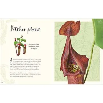 The Wonders of Nature DK Children's Anthology Book