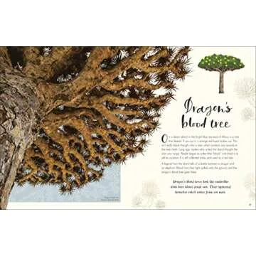 The Wonders of Nature DK Children's Anthology Book