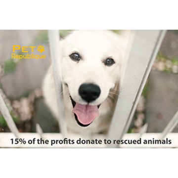 Professional Cat Nail Clippers - Easy and Safe Grooming Tools