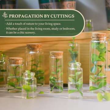 JIUYUE Bottles with Corks,Glass Bottle,Glass Bottle with Cork,Mini Glass Bottles,Test Tube Jars.(0.17 Oz,10 Pcs)