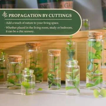 JIUYUE Bottles with Corks,Glass Bottle,Glass Bottle with Cork,Mini Glass Bottles,Test Tube Jars.(0.17 Oz,10 Pcs)