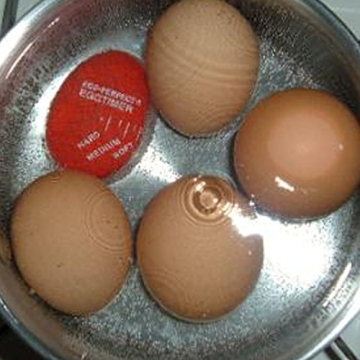 NOR-PRO Egg Perfect Egg Timer for Perfect Boiled Eggs