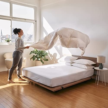 Brooklinen All Season Luxury Down Comforter, 100% Natural Canadian Duck Down Duvet Insert - 700 Fill Power, 100% Cotton Shell, Baffle Box Construction, Full/Queen Size Comforter