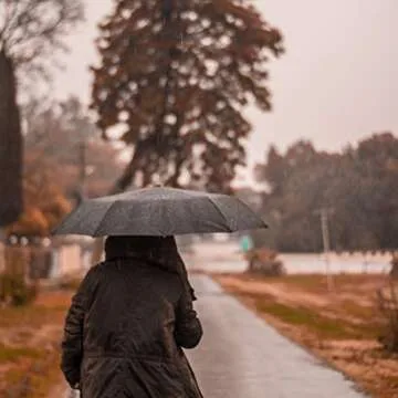 PFFY Self-Closing Travel Umbrella for Windy & Rainy Days