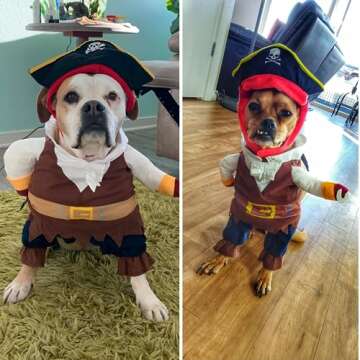 Funny Dog Costume Pirates of The Caribbean Style Cat Costumes Halloween Dog Clothes with Hat Small Medium Pet Kitty Cosplay Outfits Cute Prop Apparel for Halloween Party Accessories (Small)