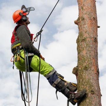 YUZENET Braided Arborist Rigging Rope - 100ft Strength