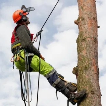 YUZENET Braided Arborist Rigging Rope - 100ft Strength