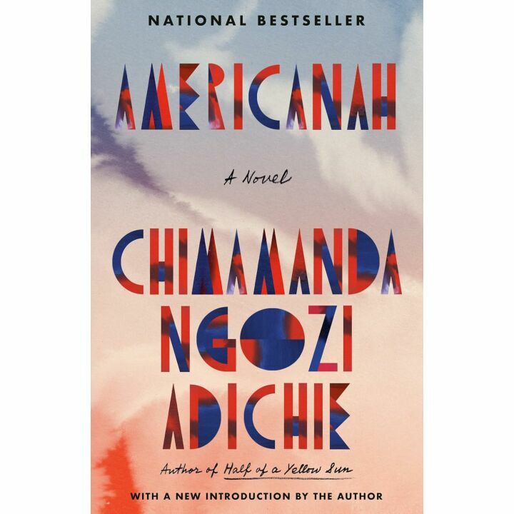 Americanah: Love and Identity Explored in a Novel