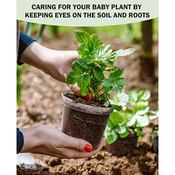 Homenote 4 Inch Clear Nursery Pots with Drainage Holes