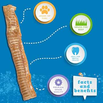 Jack&Pup 12" Beef Trachea Chews | All-Natural Dog Treats 6 Pack