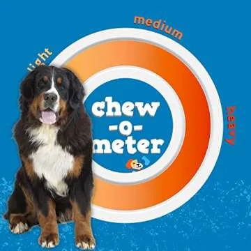 Jack&Pup 12" Beef Trachea Chews | All-Natural Dog Treats 6 Pack