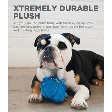 Xtreme Seamz Raccoon Toy for Aggressive Chewers