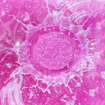 Lavender Bath Gift Basket for Women - 11 Pieces