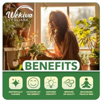 Don Juan Rose Bush - Live Starter Plant in a 2 Inch Pot - Beautifully Fragrant Heirloom Rose from Florida - A Versatile Beauty with a Rich Fragrance