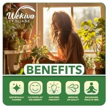 Don Juan Rose Bush - Live Starter Plant in a 2 Inch Pot - Beautifully Fragrant Heirloom Rose from Florida - A Versatile Beauty with a Rich Fragrance