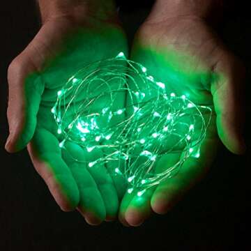 RTGS 20 LED Green Fairy String Lights for All Occasions
