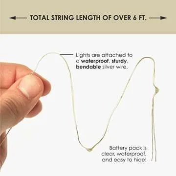 RTGS 20 LED Green Fairy String Lights for All Occasions