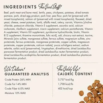 Fromm Heartland Gold Large Breed Puppy Food - Beef Recipe