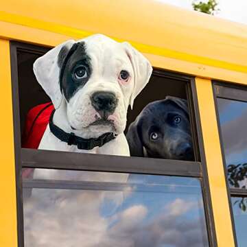 Fromm Heartland Gold Large Breed Puppy Food - Beef Recipe