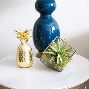 Quality Growers QG2060 Preserved Reindeer Moss, 108.5 Cubic Inch, Spring Green