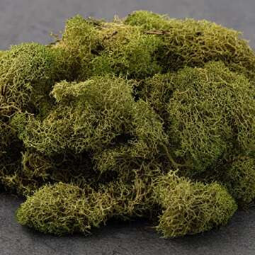 Quality Growers QG2060 Preserved Reindeer Moss, 108.5 Cubic Inch, Spring Green