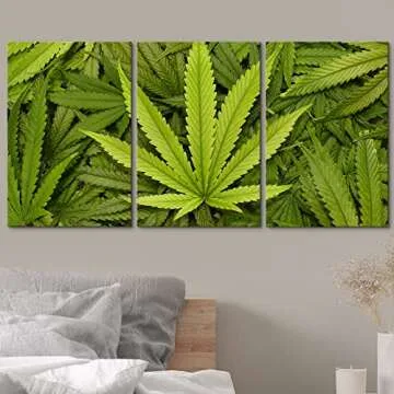 wall26 Cannabis Leaf Canvas Art Set - 16x24x3